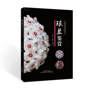 球兰鉴赏 9787535968524 pdf epub mobi 电子书 下载