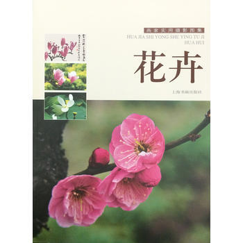 画家实用摄影图集---花卉 9787547912270 pdf epub mobi 电子书 下载