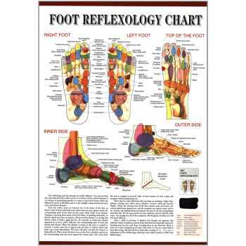 正版足部反射区挂图英文版束霖东南大学出版社全新考研教材9787564133740?? pdf epub mobi 电子书 下载