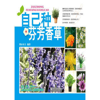 BF-自己種芬芳香草-都市農夫 電子工業齣版社 9787121195112 pdf epub mobi 電子書 下載
