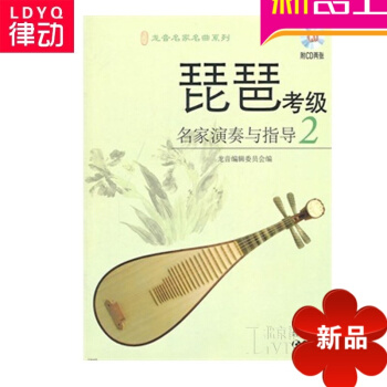 琵琶曲谱 琵琶考级名家演奏与指导（2） 琵琶考级教程 琵琶教材书 pdf epub mobi 电子书 下载