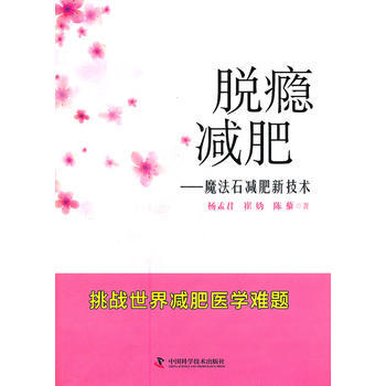 脱瘾——魔法石新技术 pdf epub mobi 电子书 下载