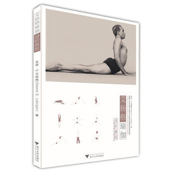 艾扬格瑜伽进阶教程 pdf epub mobi 电子书 下载