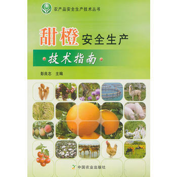 甜橙安全生产技术指南 pdf epub mobi 电子书 下载