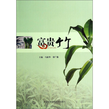 富贵竹 pdf epub mobi 电子书 下载