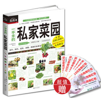 正版玉一平米的私家菜园9787543073906(日)藤田智,管婧 pdf epub mobi 电子书 下载
