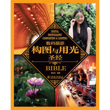 数码摄影构图与用光圣经 pdf epub mobi 电子书 下载