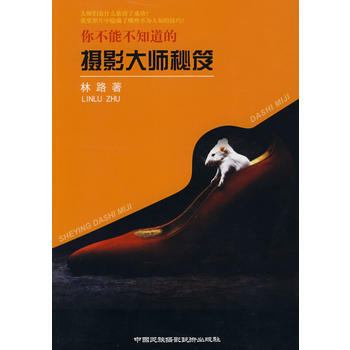 摄影大师秘笈 pdf epub mobi 电子书 下载