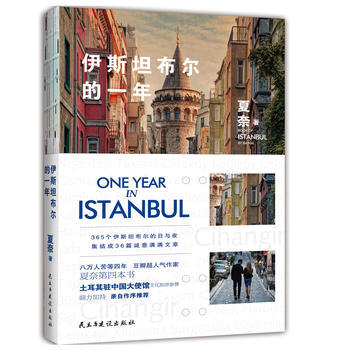 伊斯坦布尔的一年 pdf epub mobi 电子书 下载