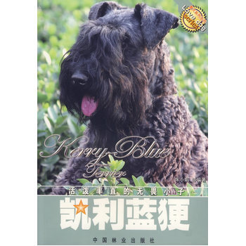 凯利蓝更 pdf epub mobi 电子书 下载
