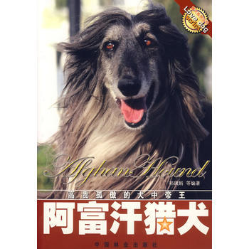 阿富汗猎犬 pdf epub mobi 电子书 下载