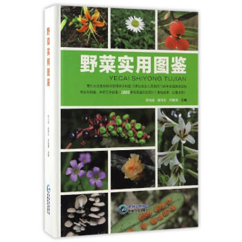 野菜實用圖鑒 pdf epub mobi 電子書 下載