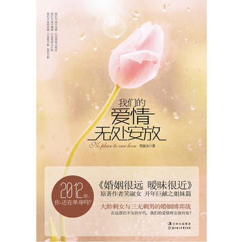 我们的爱情无处安放 pdf epub mobi 电子书 下载