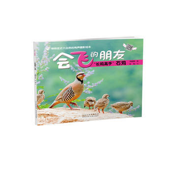 长鸣高手石鸡-会飞的朋友 pdf epub mobi 电子书 下载