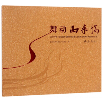 舞动西来桥(2017年第十届全国舞龙舞狮锦标赛江苏省舞龙舞狮比赛摄影作品选) pdf epub mobi 电子书 下载