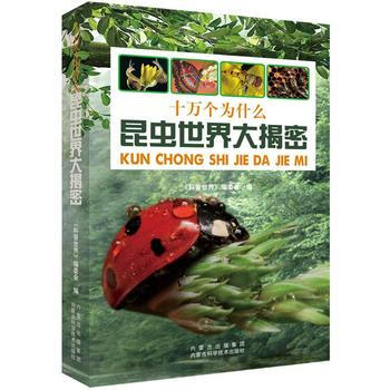 昆虫世界大揭秘 9787538025835 pdf epub mobi 电子书 下载