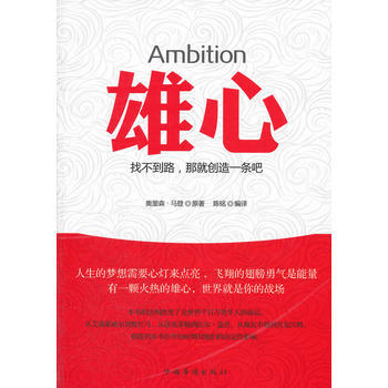 满28包邮 雄心：找不到路，那就创造一条吧 pdf epub mobi 电子书 下载