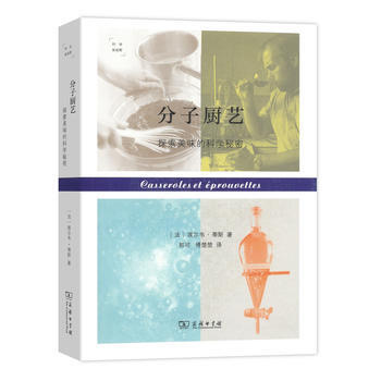 分子厨艺：探索美味的科学秘密 9787100120692 pdf epub mobi 电子书 下载