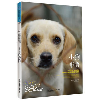 小狗布鲁 (美)凯文 pdf epub mobi 电子书 下载