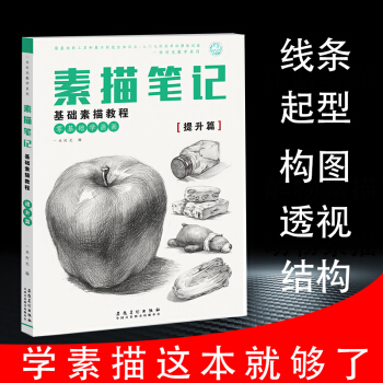 素描筆記素描基礎教程入門技法提升篇靜物素描書自學零基礎幾何形體石膏畫畫速學初學黑白畫教材臨摹範本 美