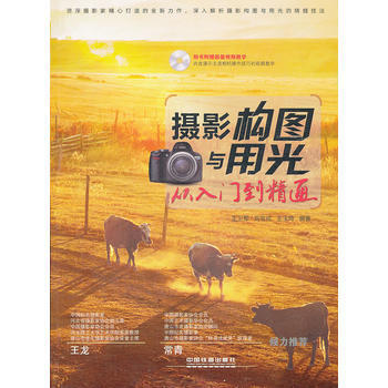 摄影构图与用光从入门到精通