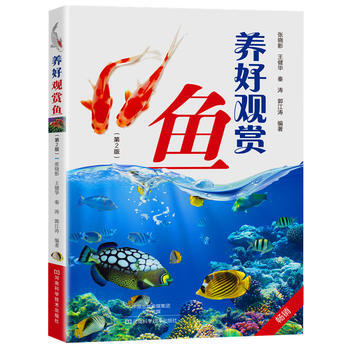 养好观赏鱼 9787534970771 pdf epub mobi 电子书 下载