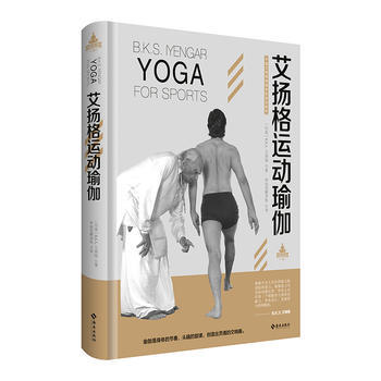 艾扬格运动瑜伽 pdf epub mobi 电子书 下载