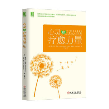心灵的疗愈力量 pdf epub mobi 电子书 下载