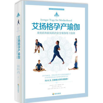 艾扬格孕产瑜伽 医学 书籍 pdf epub mobi 电子书 下载