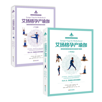 艾扬格孕产瑜伽：孕中篇和产后篇 套装2册 女性孕前准备 孕期全程以及产后修复的瑜伽练习手册 初学者 pdf epub mobi 电子书 下载