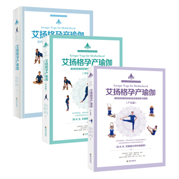 艾扬格孕产瑜伽+艾扬格孕产瑜伽孕中篇+艾扬格孕产瑜伽产后篇 套装3册 形体训练 准妈妈新妈妈孕期产后 pdf epub mobi 电子书 下载